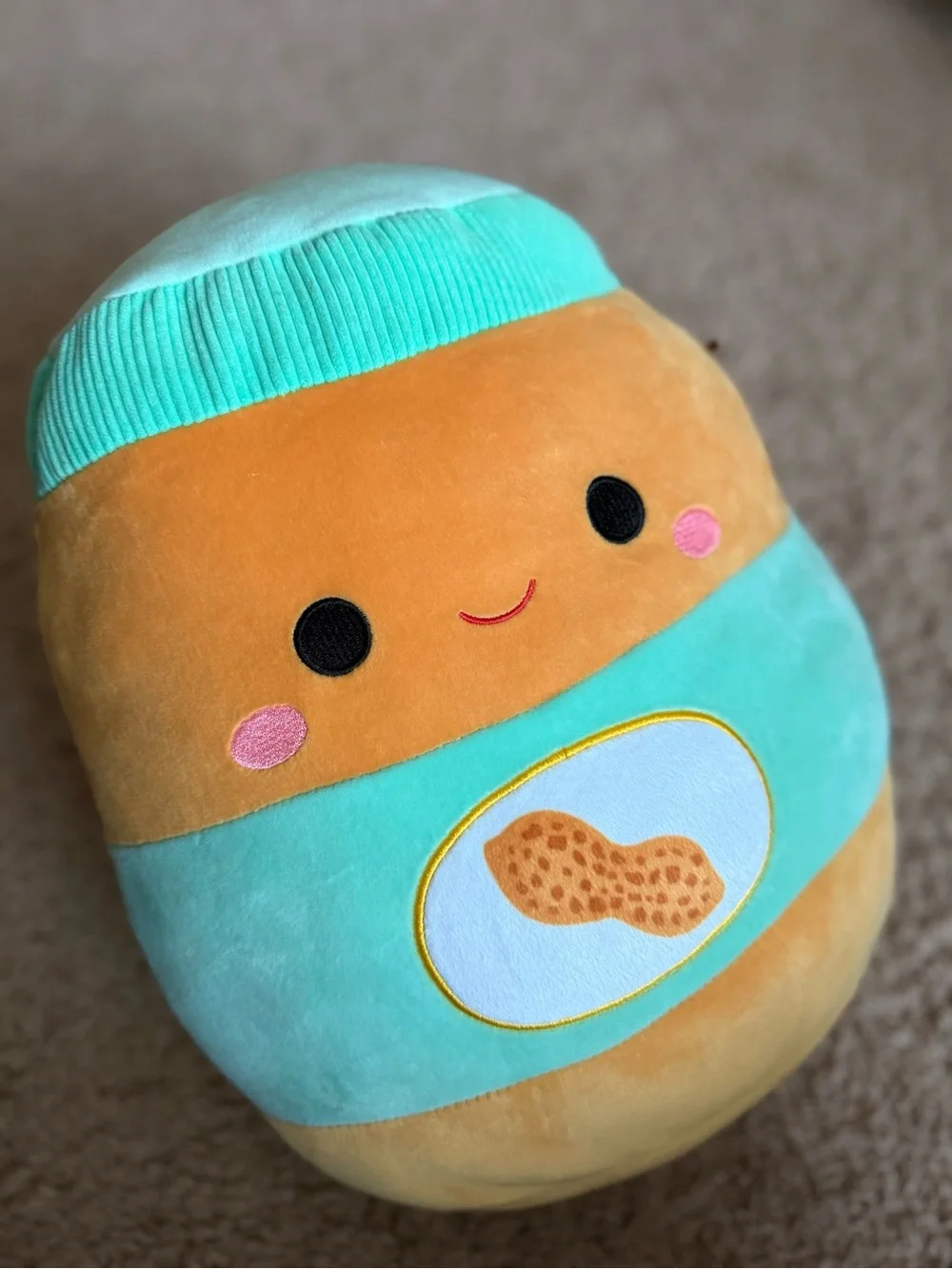 Squishmallows Mint and Peach Peanut Plush